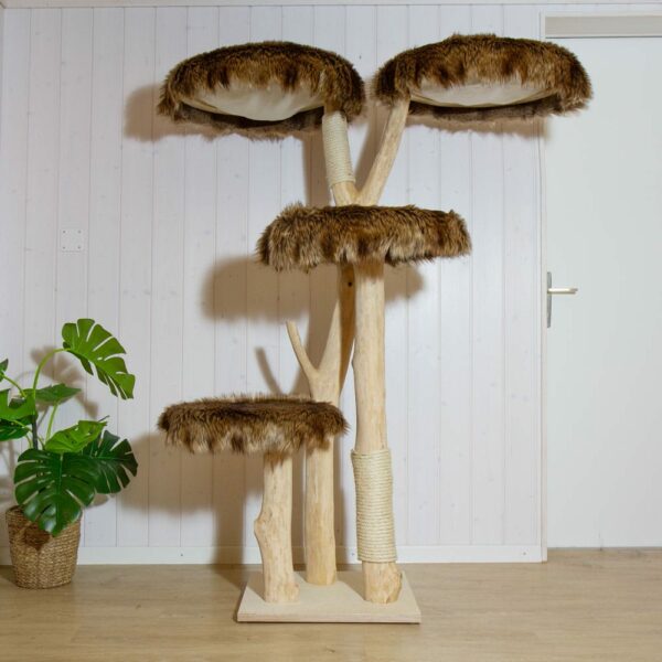 Naturkratzbaum kaufen