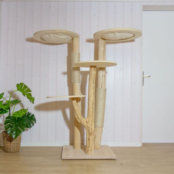 Naturkratzbaum kaufen