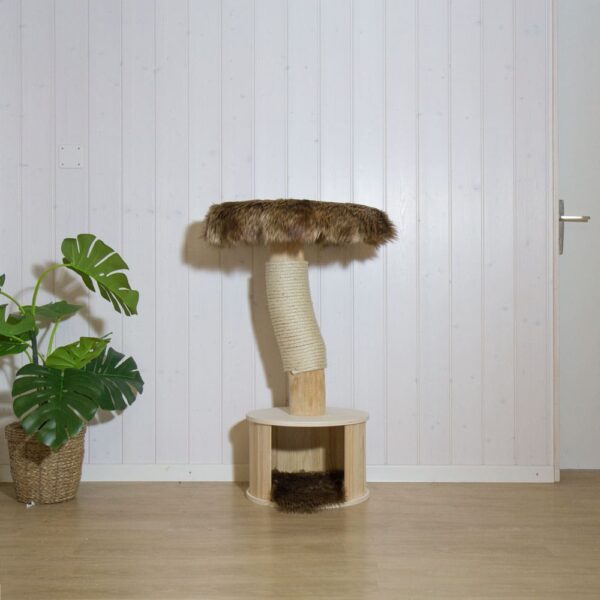 Naturkratzbaum kaufen