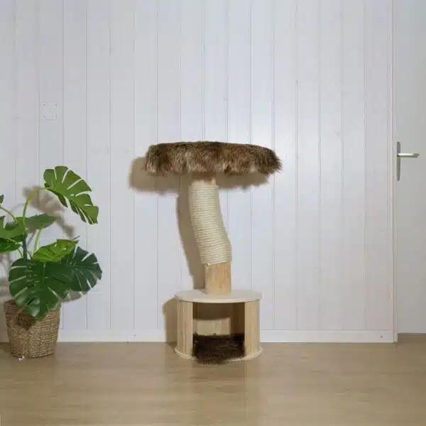 Naturkratzbaum kaufen